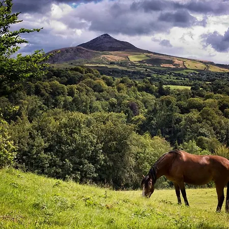 Woodenbridge Hotel Otel Woodenbridge