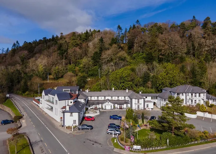 Отель Woodenbridge Hotel 3*