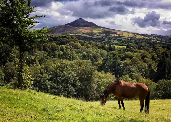 Woodenbridge Hotel Отель Woodenbridge
