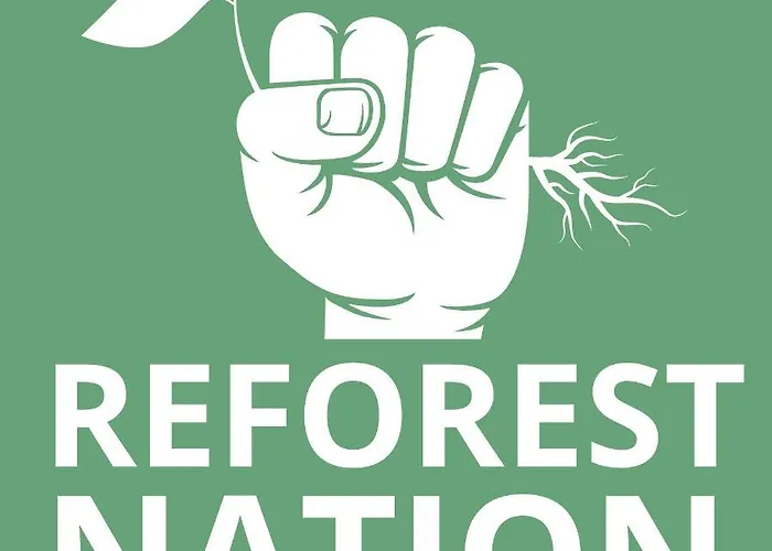 Woodenbridge Hotel 3*