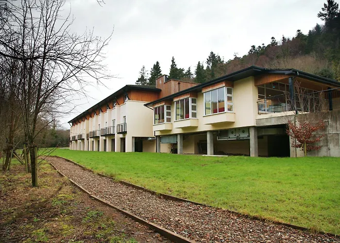 Отель Woodenbridge Hotel