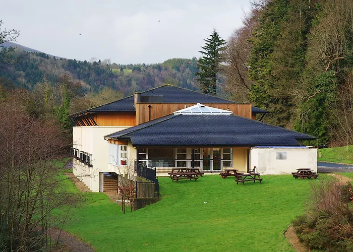 Отель Woodenbridge Hotel
